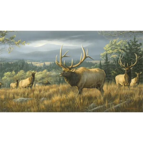 Triumph® Calendars Wildlife Art by the Hautman Brothers C...