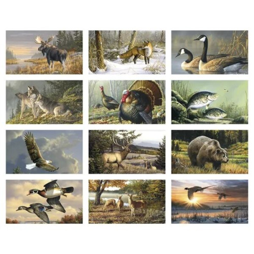 Triumph® Calendars Wildlife Art by the Hautman Brothers C...
