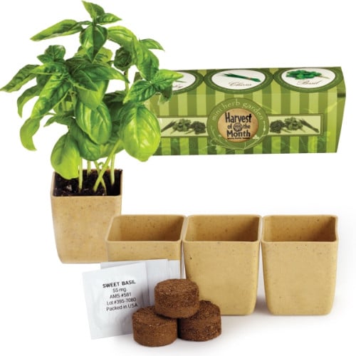 Growpot Eco-Planter Herb 3-Pack