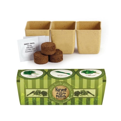 Growpot Eco-Planter Herb 3-Pack