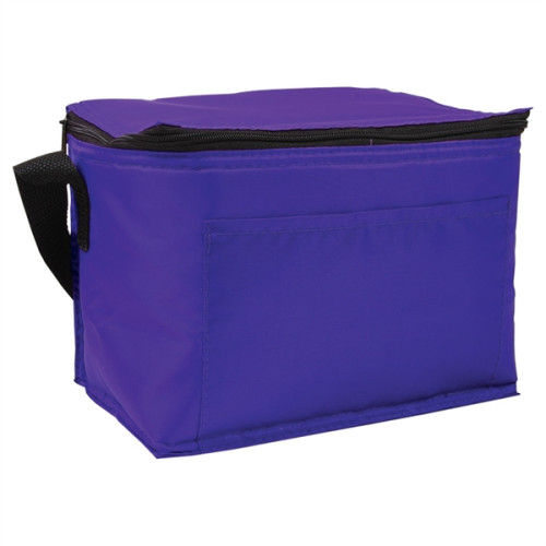 Budget 6-Pack Cooler