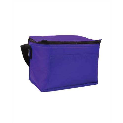 Budget 6-Pack Cooler
