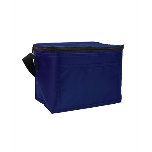 Budget 6-Pack Cooler