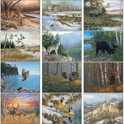 Wildlife Art