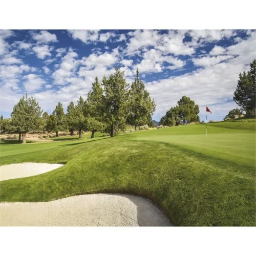 Triumph® Calendars Golf Calendar