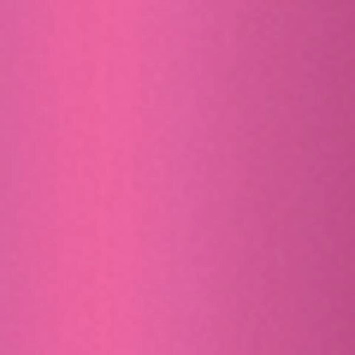 BIC® Clic Stic® Grip Pen