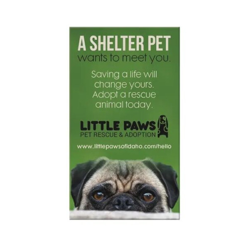 Good Value™ Business Card Magnet