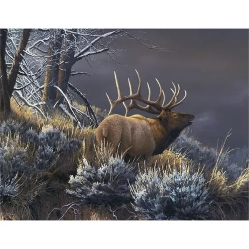 Good Value™ Wildlife Canvas - Spiral Calendar
