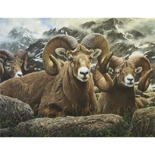 Good Value™ Wildlife Canvas - Spiral Calendar