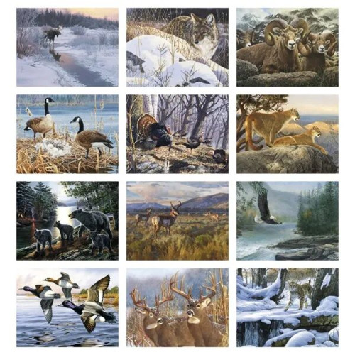Good Value™ Wildlife Canvas - Spiral Calendar