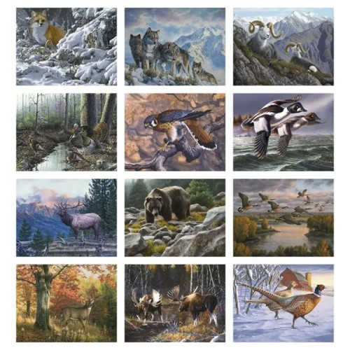 Good Value™ Wildlife Canvas - Spiral Calendar