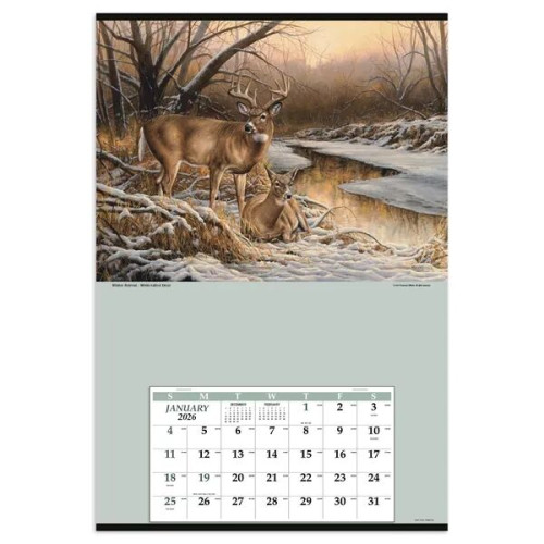 Triumph® Calendars Jumbo Hanger (12-Month) Calendar