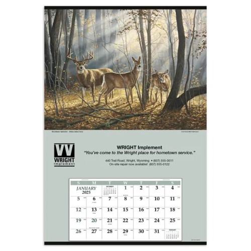 Triumph® Calendars Jumbo Hanger (12-Month) Calendar