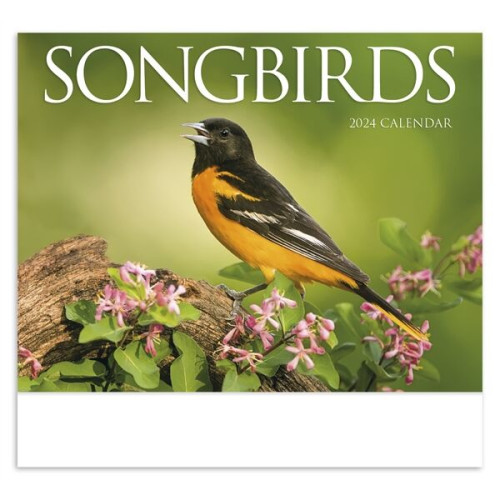 Songbirds Appointment Calendar - Stapled