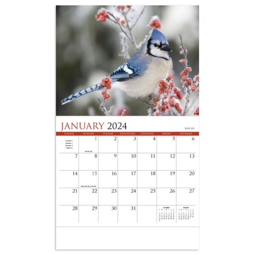 Songbirds Appointment Calendar - Stapled