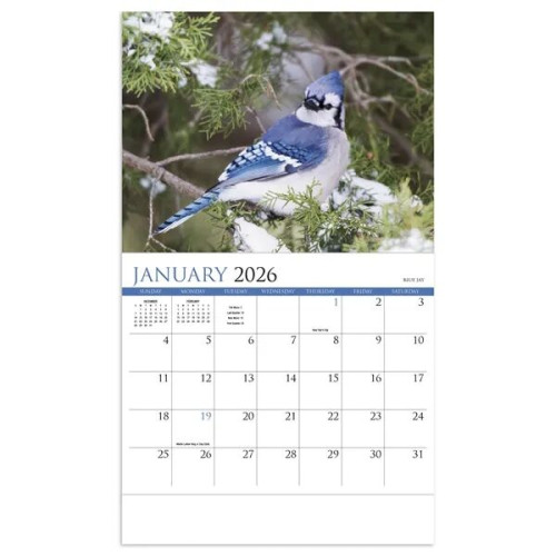 Products Songbirds Appointment Calendar - Stapled