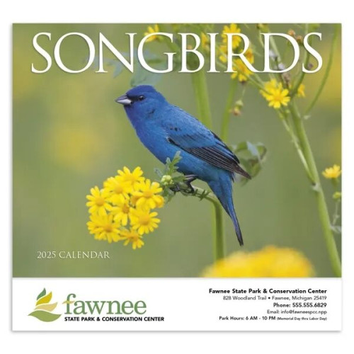 Products Songbirds Appointment Calendar - Stapled