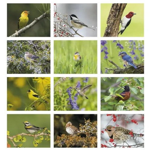 Products Songbirds Appointment Calendar - Stapled