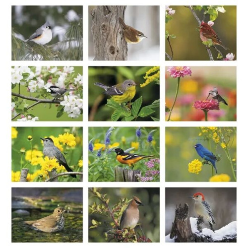 Products Songbirds Appointment Calendar - Stapled