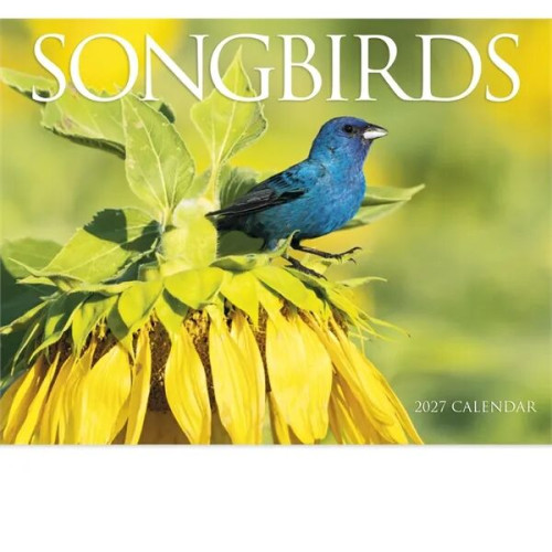 Products Songbirds Appointment Calendar - Stapled
