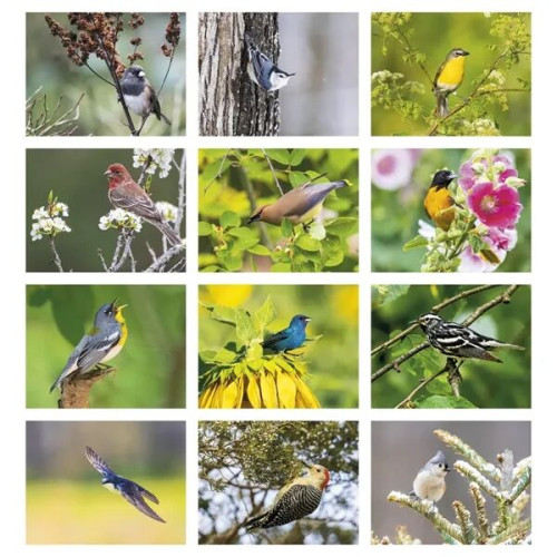 Products Songbirds Appointment Calendar - Stapled