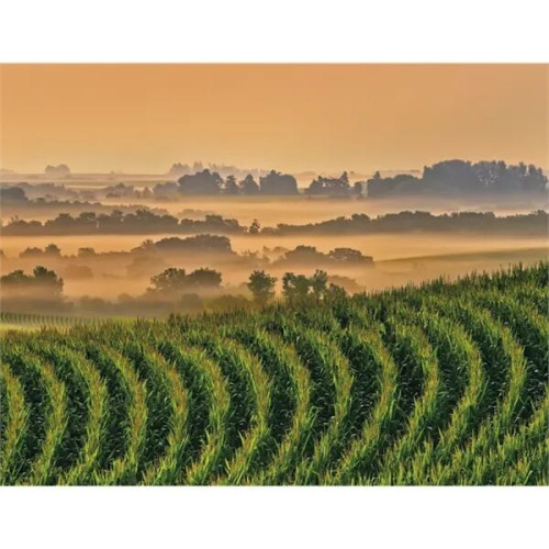 Good Value™ Agriculture - Spiral Calendar