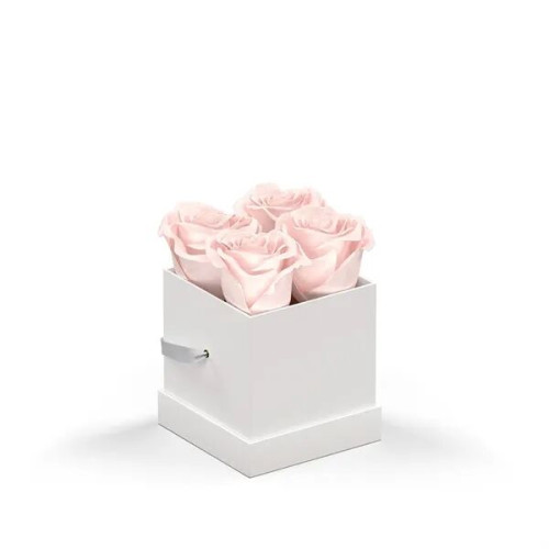 Classique by VeF Petit