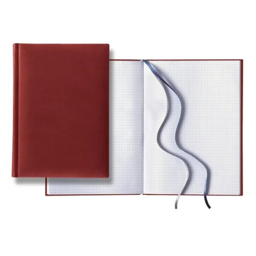 Tucson Grande Graph White Page Journal