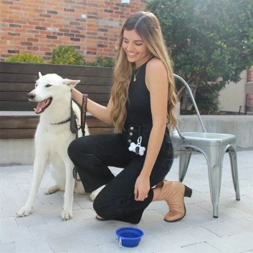 Collapsible Pet Bowl