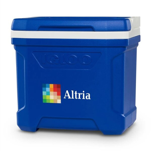 Igloo® Profile II 16 Qt Cooler