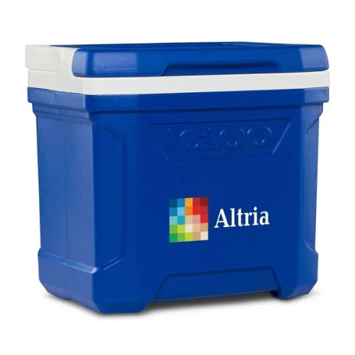 Igloo® Profile II 16 Qt Cooler