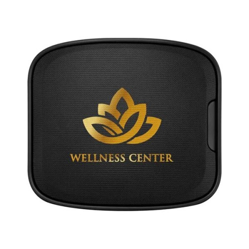 Next Level Wireless Wall Speaker