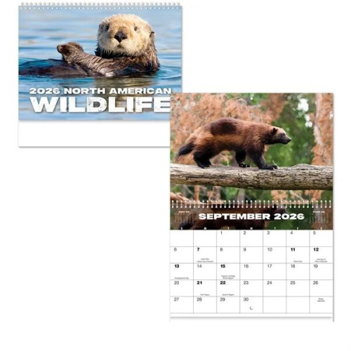 Wildlife Spiral Wall Calendar