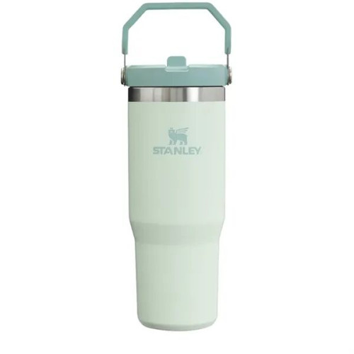 Stanley IceFlow Flip Straw Tumbler 30 oz