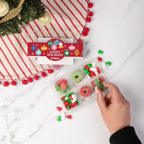 Mini Tackle Box- Holiday