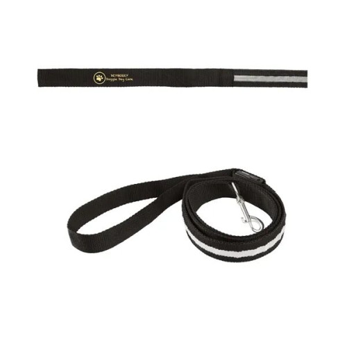 Rechargeable LED Light-Up Dog Leash