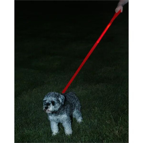 Rechargeable LED Light-Up Dog Leash