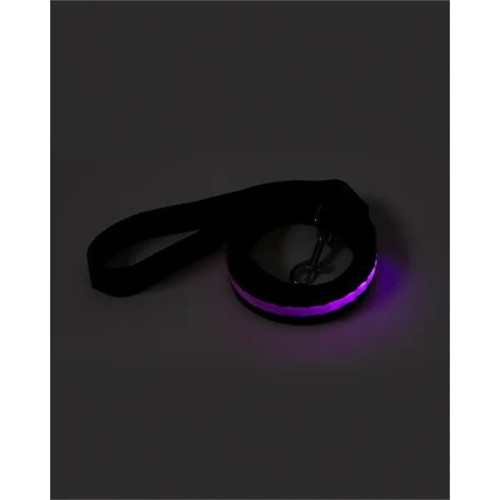 Rechargeable LED Light-Up Dog Leash
