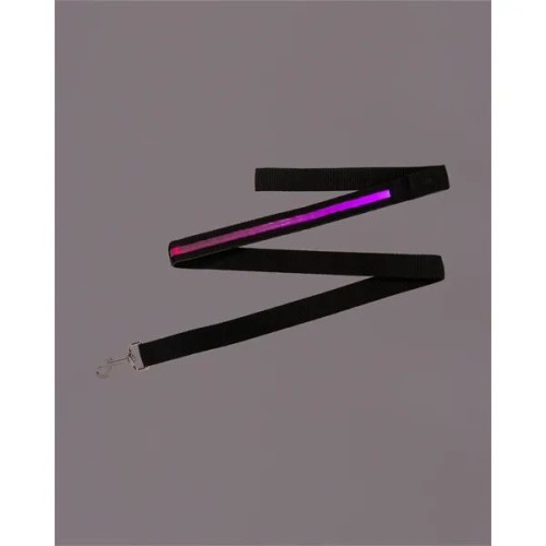 Rechargeable LED Light-Up Dog Leash