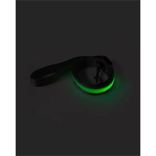 Rechargeable LED Light-Up Dog Leash