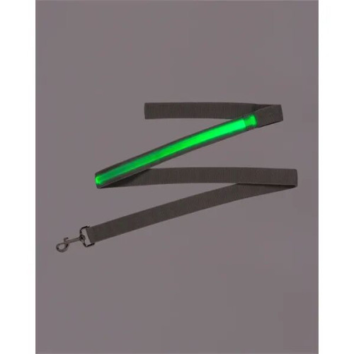 Rechargeable LED Light-Up Dog Leash