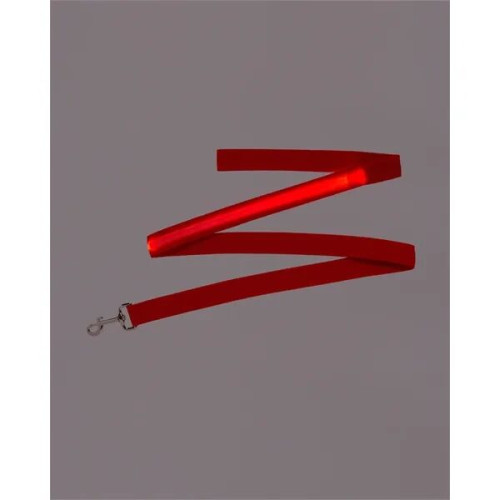 Rechargeable LED Light-Up Dog Leash