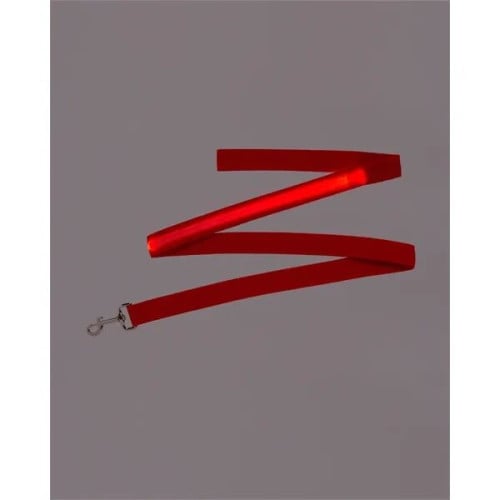 Rechargeable LED Light-Up Dog Leash