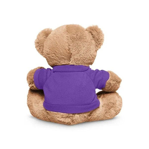 7" Plush Bear With T-Shirt