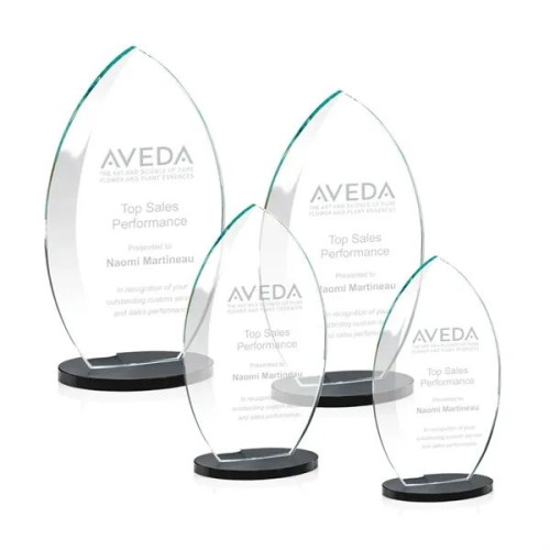 Windermere Award - Black