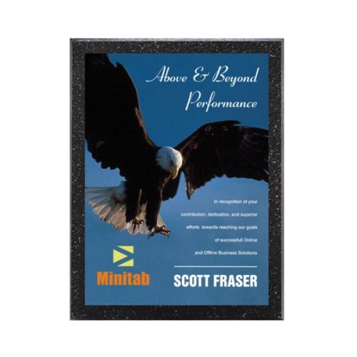 Baltimore/AstroSub Plaque