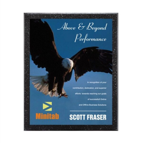 Baltimore/AstroSub Plaque