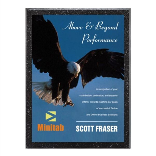 Baltimore/AstroSub Plaque