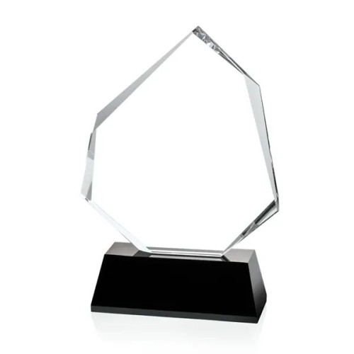 Warner Award - Black