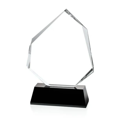 Warner Award - Black